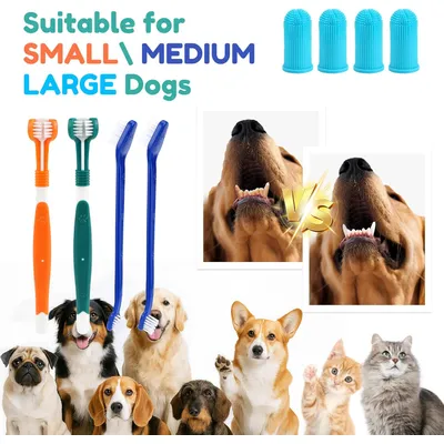 HausPets Kit 8pcs Brosses Dents Chien Chat 3 Têtes Doigtier Silicone