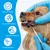 HausPets Kit 3 Outils Dentaires Chien Chat Acier Inoxydable