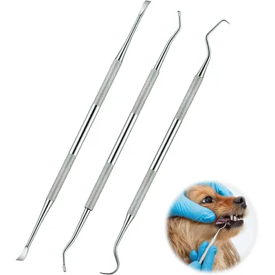 HausPets Kit 3 Outils Dentaires Chien Chat Acier Inoxydable