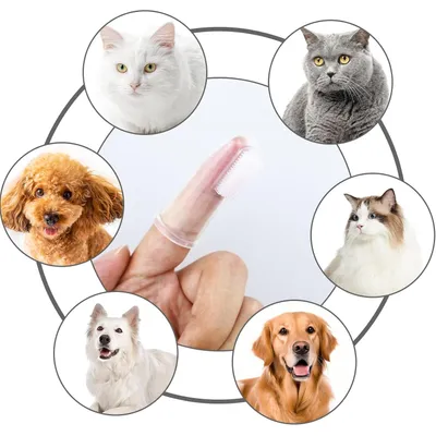 HausPets Lot 12 Brosses Dents Chien Chat Silicone Souple Doigtier