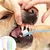 HausPets 8pcs Brosse Dents Chien Chat Poils Souples Tête Inclinée Pointue HausPets 8pcs Brosse Dents Chien Chat Poils Souples Tête Inclinée Pointue