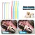 HausPets 8pcs Brosse Dents Chien Chat Poils Souples Tête Inclinée Pointue HausPets 8pcs Brosse Dents Chien Chat Poils Souples Tête Inclinée Pointue