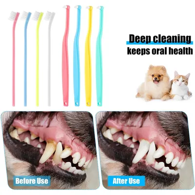 HausPets 8pcs Brosse Dents Chien Chat Poils Souples Tête Inclinée Pointue HausPets 8pcs Brosse Dents Chien Chat Poils Souples Tête Inclinée Pointue