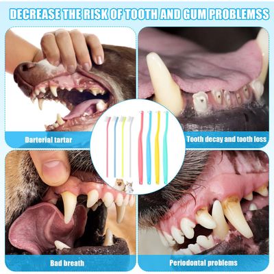 HausPets 8pcs Brosse Dents Chien Chat Poils Souples Tête Inclinée Pointue