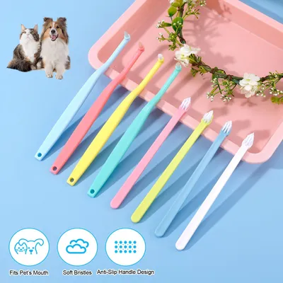 HausPets 8pcs Brosse Dents Chien Chat Poils Souples Tête Inclinée Pointue HausPets 8pcs Brosse Dents Chien Chat Poils Souples Tête Inclinée Pointue