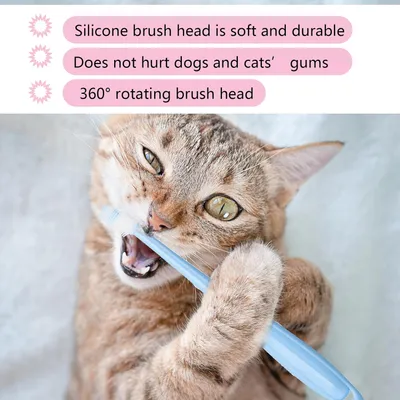 HausPets Lot 3 Brosses Dents Chien Chat Silicone Souple 360° Manche HausPets Lot 3 Brosses Dents Chien Chat Silicone Souple 360° Manche