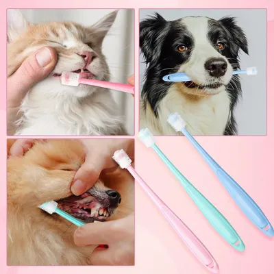 HausPets Lot 3 Brosses Dents Chien Chat Silicone Souple 360° Manche HausPets Lot 3 Brosses Dents Chien Chat Silicone Souple 360° Manche