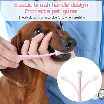HausPets Lot 3 Brosses Dents Chien Chat Silicone Souple 360° Manche HausPets Lot 3 Brosses Dents Chien Chat Silicone Souple 360° Manche
