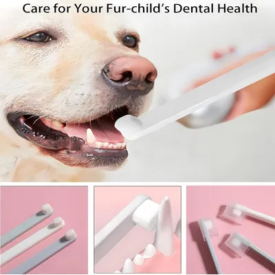 HausPets Lot 3 Brosses Dents Chien Chat Extra Douces 10000 Poils Manche HausPets Lot 3 Brosses Dents Chien Chat Extra Douces 10000 Poils Manche