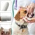 HausPets Lot 20 Brosses Dents Chat Chien Coton Tissé Nettoyage 360°