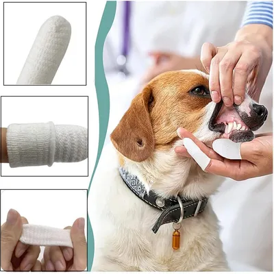 HausPets Lot 20 Brosses Dents Chat Chien Coton Tissé Nettoyage 360°