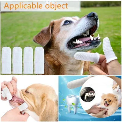 HausPets Lot 20 Brosses Dents Chat Chien Coton Tissé Nettoyage 360°