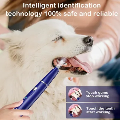 HausPets Nettoyeur Dentaire Ultrason Chien Chat USB 3 Modes 9 Pièces HausPets Nettoyeur Dentaire Ultrason Chien Chat USB 3 Modes 9 Pièces