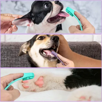 HausPets Lot 4 Brosses Dents Chien Chat Silicone Qualité Alimentaire