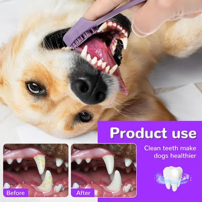 HausPets Lot 4 Brosses Dents Chien Chat Silicone Qualité Alimentaire
