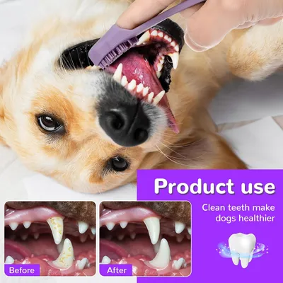 HausPets Juego 4 cepillos dientes silicona grado alimenticio perros gatos