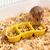 HausPets bol céramique forme banane jaune petit animal HausPets bol céramique forme banane jaune petit animal