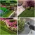 HausPets Tapis Picots Anti Chat - 8 Pièces, Jardin, Plantes HausPets Tapis Picots Anti Chat - 8 Pièces, Jardin, Plantes