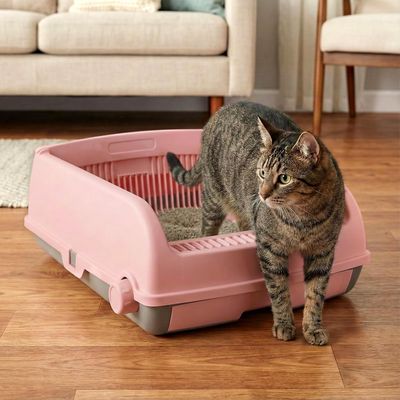GIANTEX Bac Litière Chat 60x46 cm,Anti-Fuite,Ouvert sur Le Dessus,Tiroir