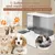 HausPets Distributeur 2en1 Nourriture Eau Chat Chien Gravité Sans BPA
