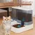 HausPets 2in1 Futter- und Wasserspender Hund Katze Schwerkraft BPA-frei