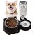 HausPets Double Bol Nourriture et Eau Chien Chat Antidérapant Acier Inox HausPets Double Bol Nourriture et Eau Chien Chat Antidérapant Acier Inox