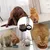HausPets Doppelter Futter- und Wasserspender Hund Katze Rutschfest