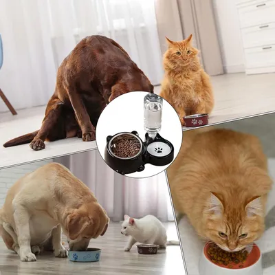 HausPets Doppelter Futter- und Wasserspender Hund Katze Rutschfest