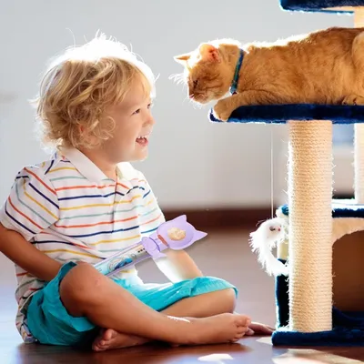 HausPets Katze Leckerli Spender - 3 Teilig, Messlöffel HausPets Katze Leckerli Spender - 3 Teilig, Messlöffel