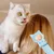 HausPets Katze Leckerli Spender - 3 Teilig, Messlöffel HausPets Katze Leckerli Spender - 3 Teilig, Messlöffel