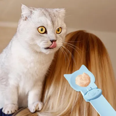 HausPets Katze Leckerli Spender - 3 Teilig, Messlöffel HausPets Katze Leckerli Spender - 3 Teilig, Messlöffel