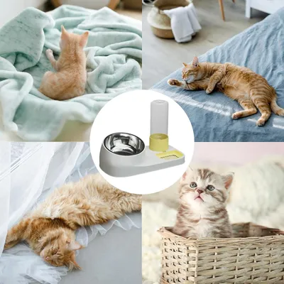 HausPets Katzenfutter- und Wasserspender Edelstahl Rutschfest