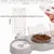 HausPets 3in1 Napf Katze Hund 15° Neigung Automatischer Wasserspender