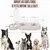 HausPets Gamelle 3en1 Chat Chien Inclinée 15° Distributeur Eau Nourriture HausPets Gamelle 3en1 Chat Chien Inclinée 15° Distributeur Eau Nourriture
