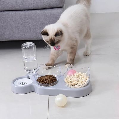 HausPets Comedero 3 en 1 gatos perros, ángulo 15°, dispensador agua comida