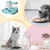 HausPets Automatischer Katzenfutter- und Wasserspender Auslaufsicher