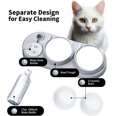 HausPets 3in1 Keramik Napf Katze 15° Neigung Siphon Wasser Futter