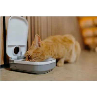 HausPets C100 Distributeur Auto Nourriture Programmable 400g Résistant HausPets C100 Distributeur Auto Nourriture Programmable 400g Résistant