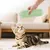 3 oreillers interactifs peluche herbe chat 3 oreillers interactifs peluche herbe chat