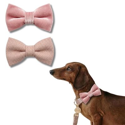 Tails of Glory Lot Nœuds Papillon Chien - Tweed et Velours