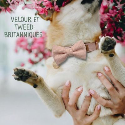 Tails of Glory Lot Nœuds Papillon Chien - Tweed et Velours