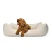 PAW WOW Hundebett ANTON Cord Beige