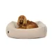 PAW WOW Hundebett SVEN Teddy Greige