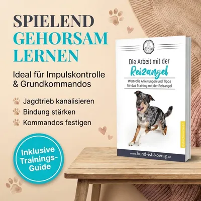 HUND IST KÖNIG Reizangel für Hunde mit 2 Tauen & Seilen + Trainings-eBook HUND IST KÖNIG Reizangel für Hunde mit 2 Tauen & Seilen + Trainings-eBook