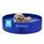 Veddelholzer Faltbarer Hundepool (M) 80 x 20 cm rutschfest Veddelholzer Faltbarer Hundepool (M) 80 x 20 cm rutschfest