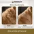 Veddelholzer éliminateur de poils d’animaux avec rouleau anti-peluches Veddelholzer éliminateur de poils d’animaux avec rouleau anti-peluches