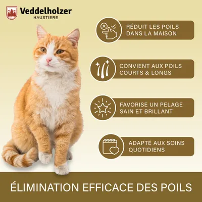Brosse premium pour chiens et chats Veddelholzer avec fonction One-Click Brosse premium pour chiens et chats Veddelholzer avec fonction One-Click
