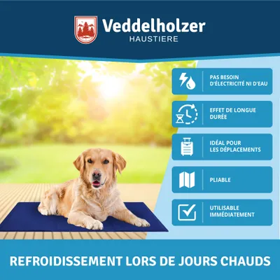 Veddelholzer Tapis rafraîchissant (L) pour Chien Extra épais Veddelholzer Tapis rafraîchissant (L) pour Chien Extra épais