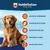 Kühlmatte (M) für Hunde Kühlmatte (M) für Hunde