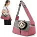 ALLSOPETS Haustierrucksack